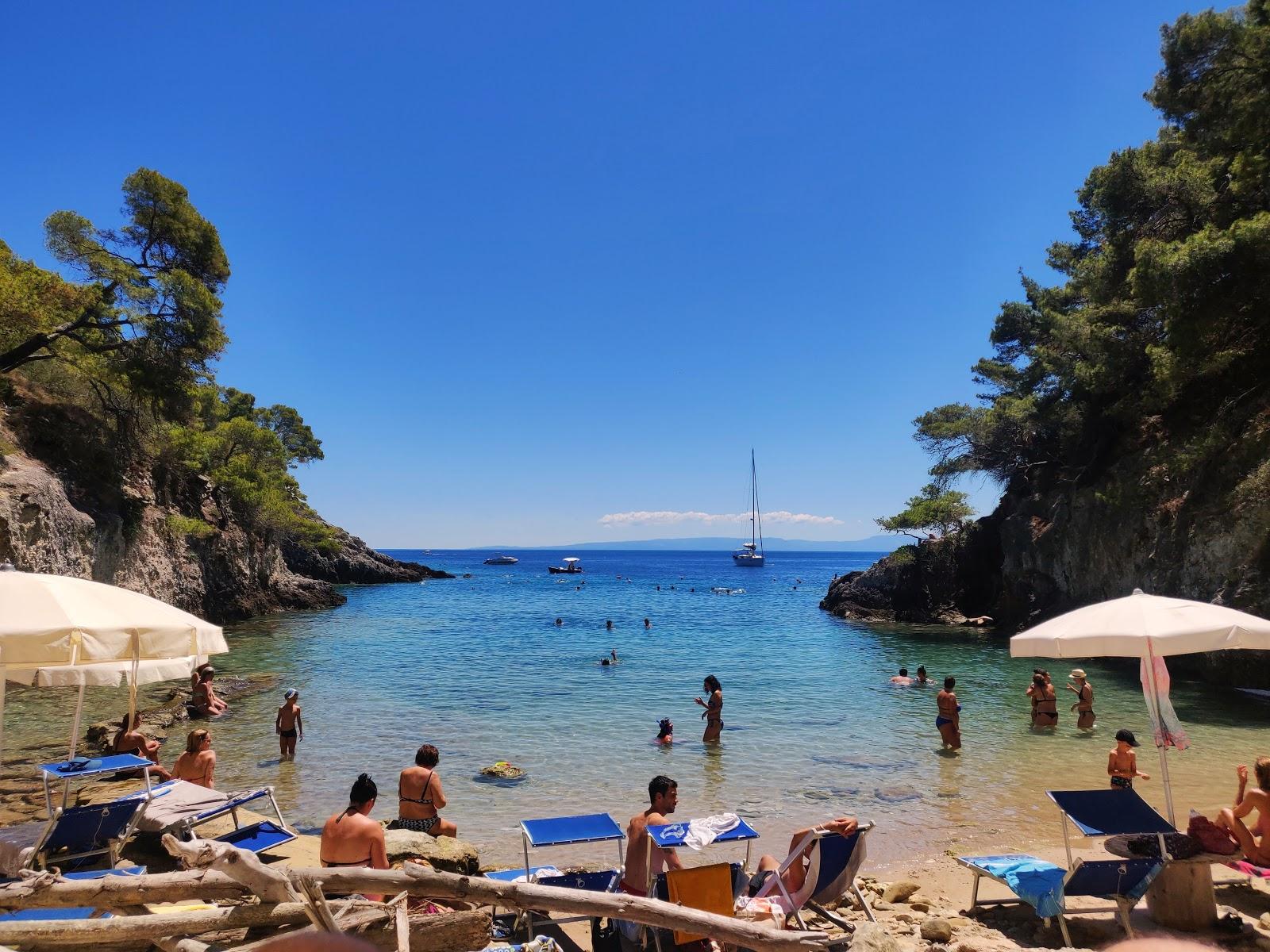 Sandee - HomePage / Isole Tremiti
