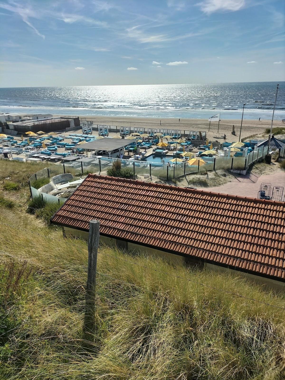 Sandee - HomePage / Zandvoort
