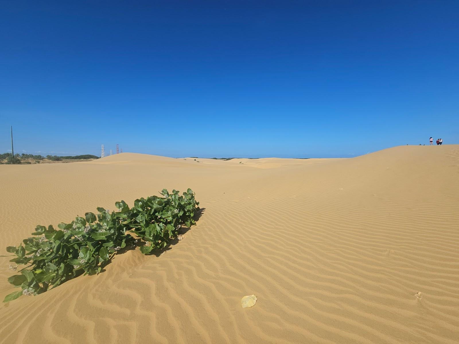 Sandee Parque Nacional Medanos De Coro