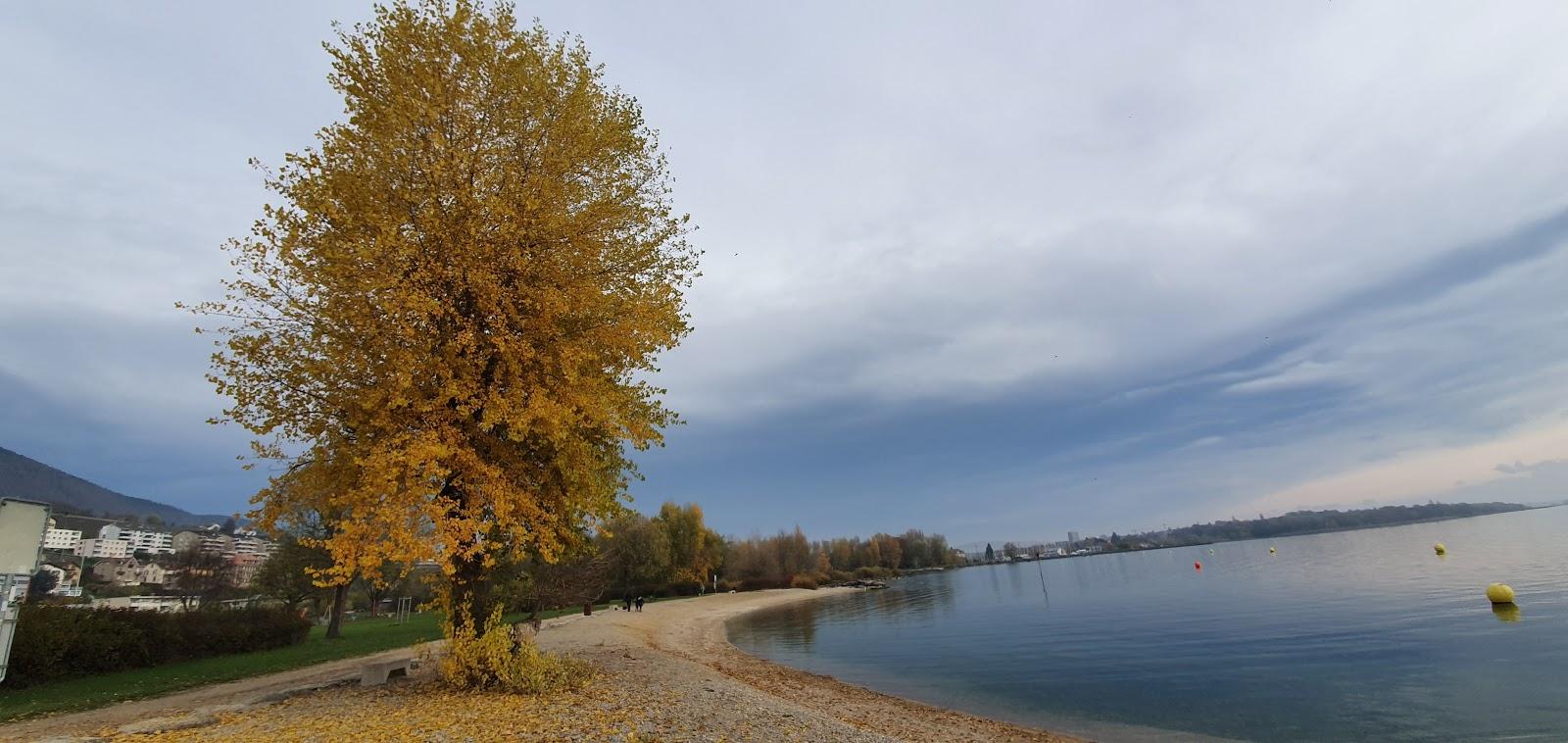 Sandee - HomePage / Neuchatel