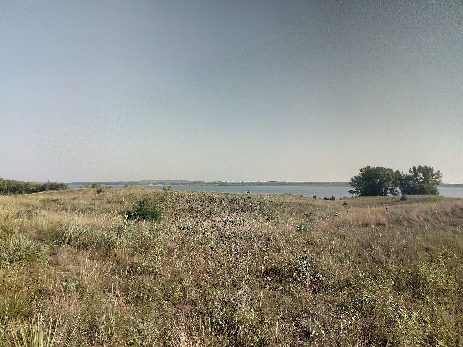 Sandee - HomePage / Aggies Acres