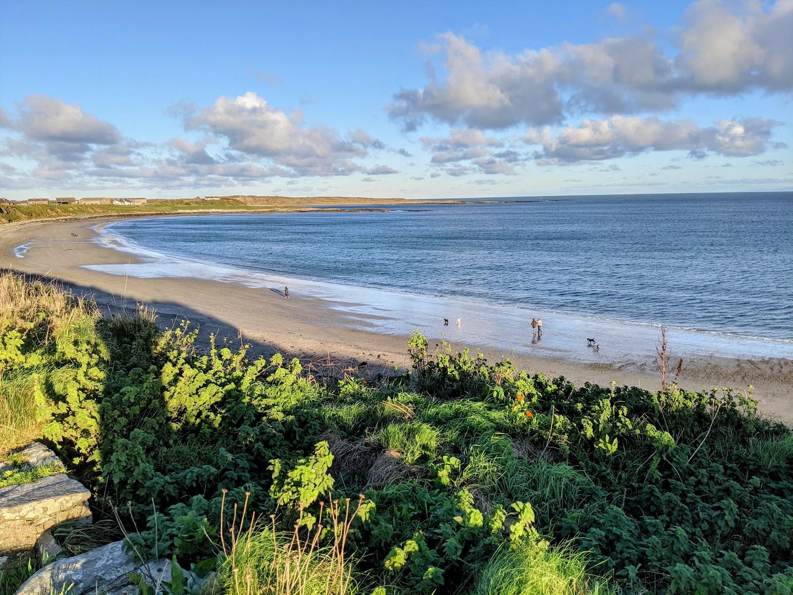 Sandee - HomePage / Ballyhornan