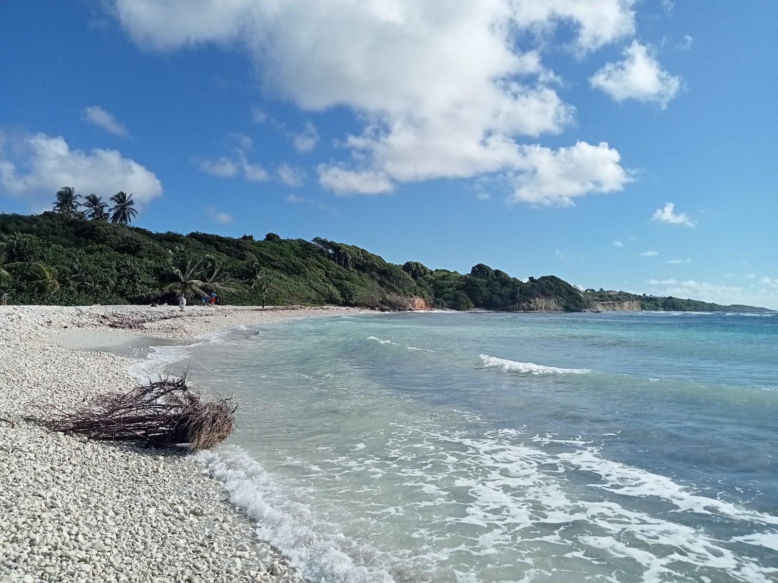 Sandee - HomePage / Grande Terre