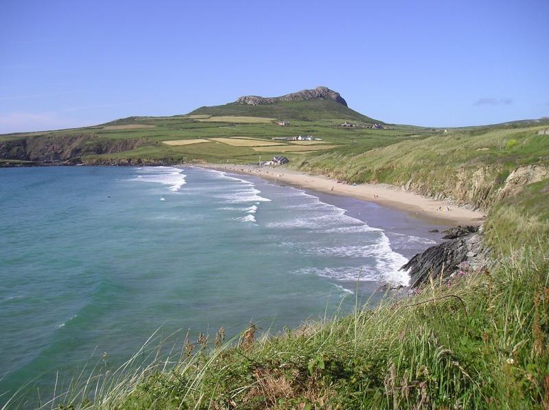 Sandee Whitesands Bay Beach