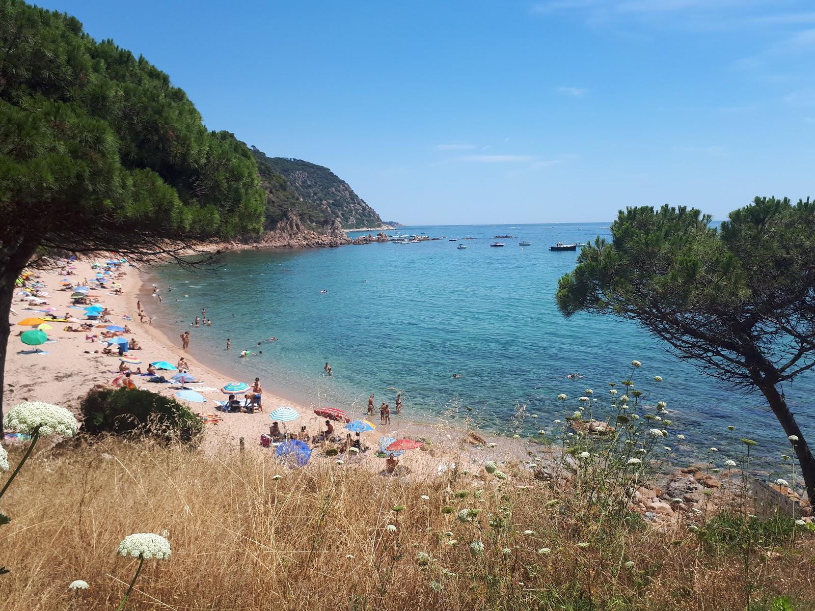 Sandee - HomePage / Canyet de Mar