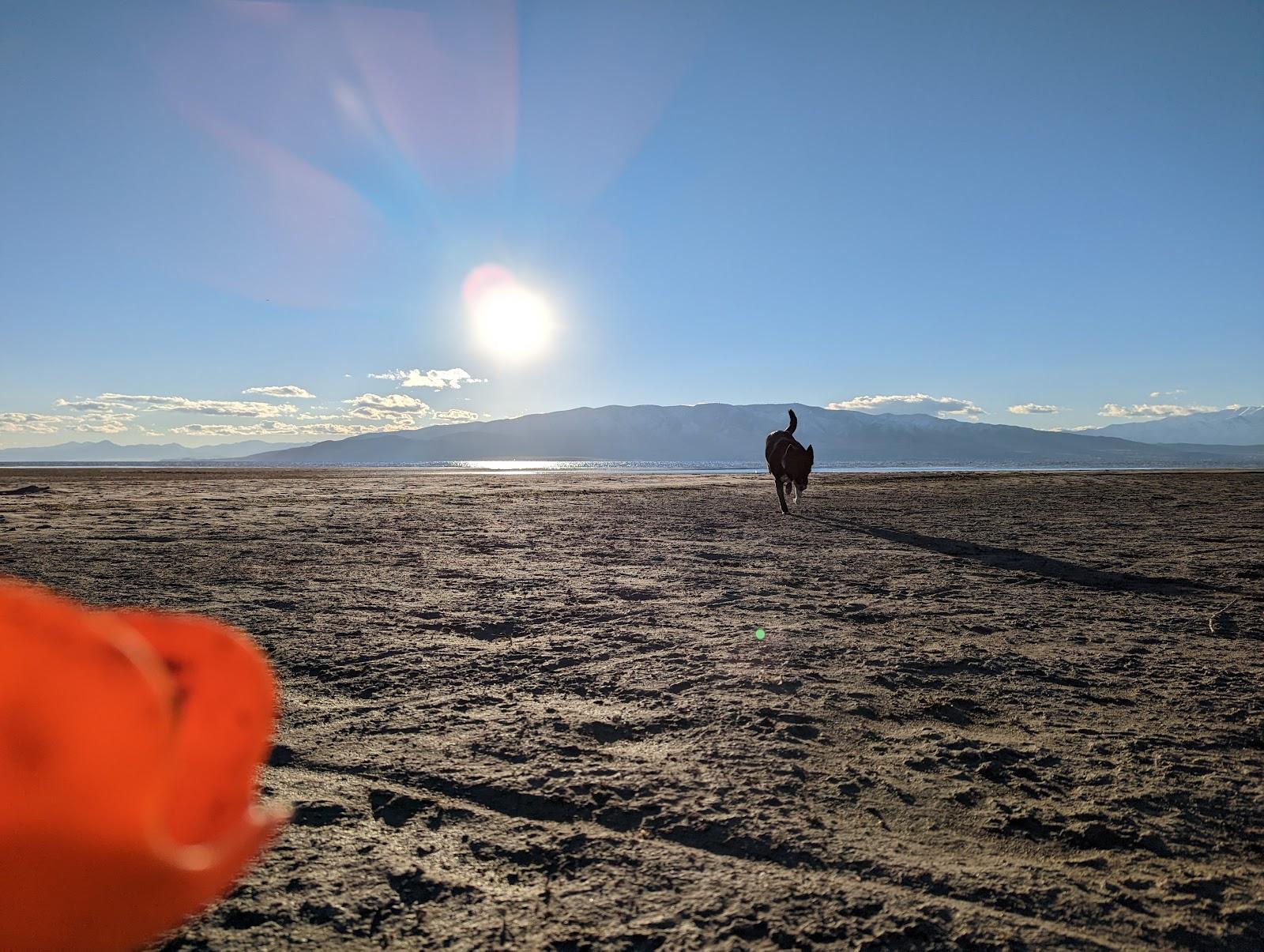 Sandee Utah Lake Public Access Point