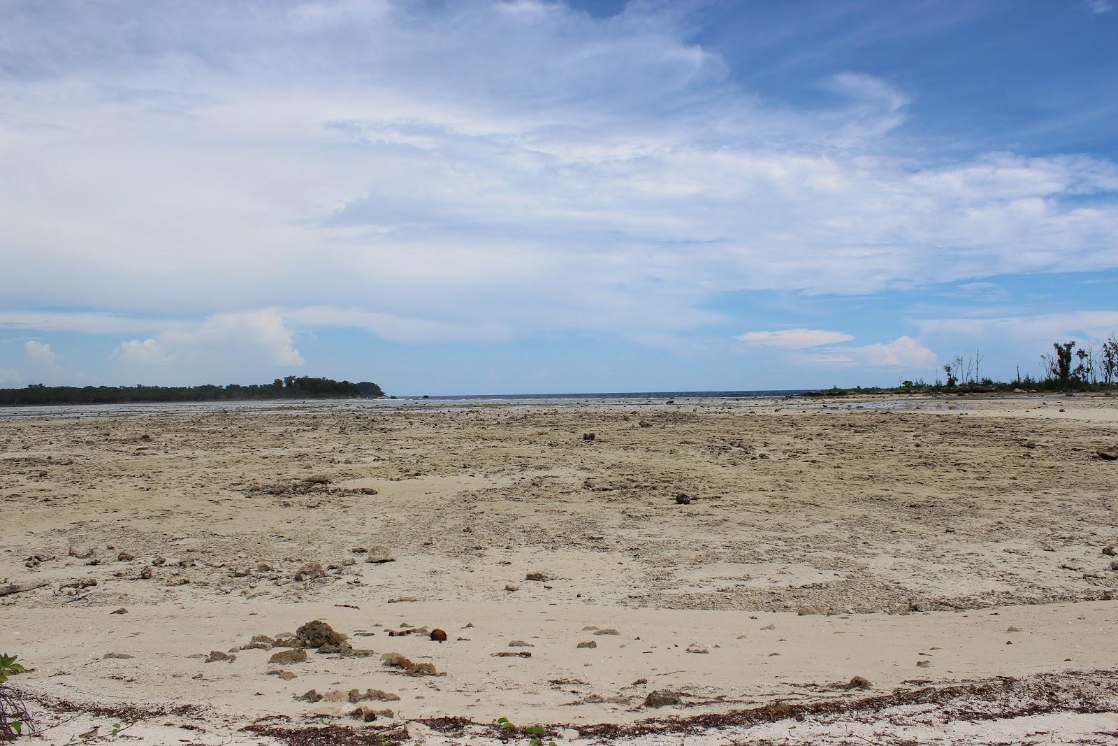 Sandee - HomePage / Peleliu