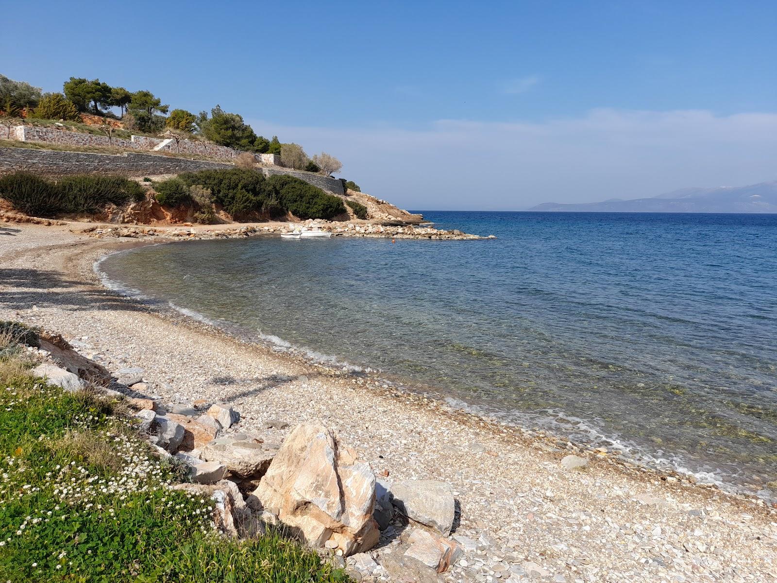 Sandee Sesi Beach
