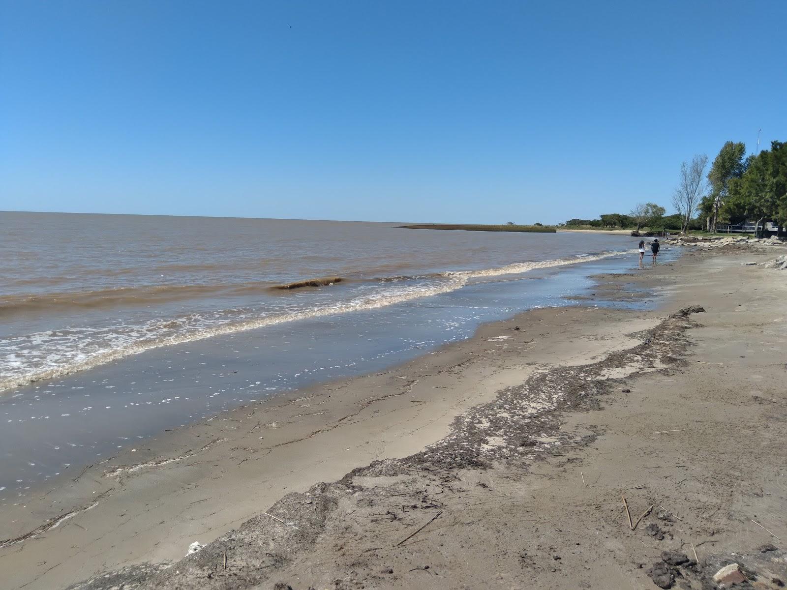 Sandee Playa Punta Indio