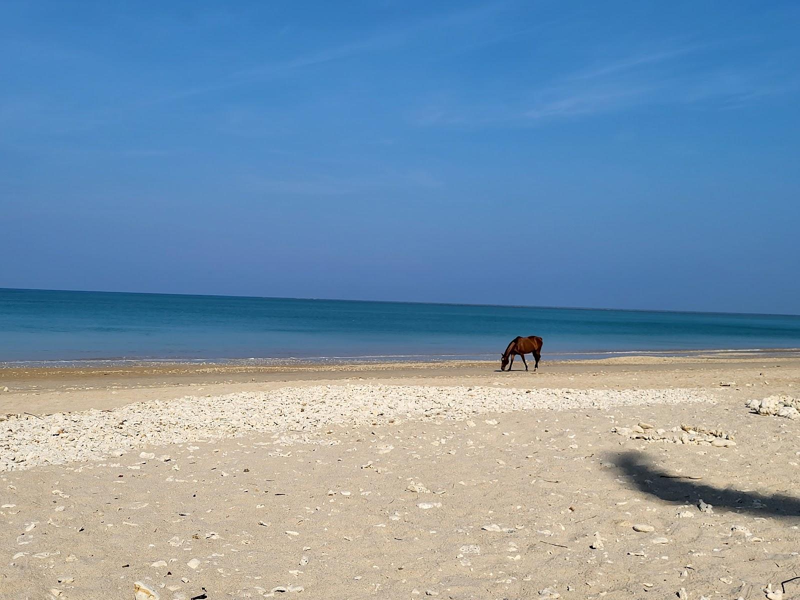 Sandee Bangsak Beach