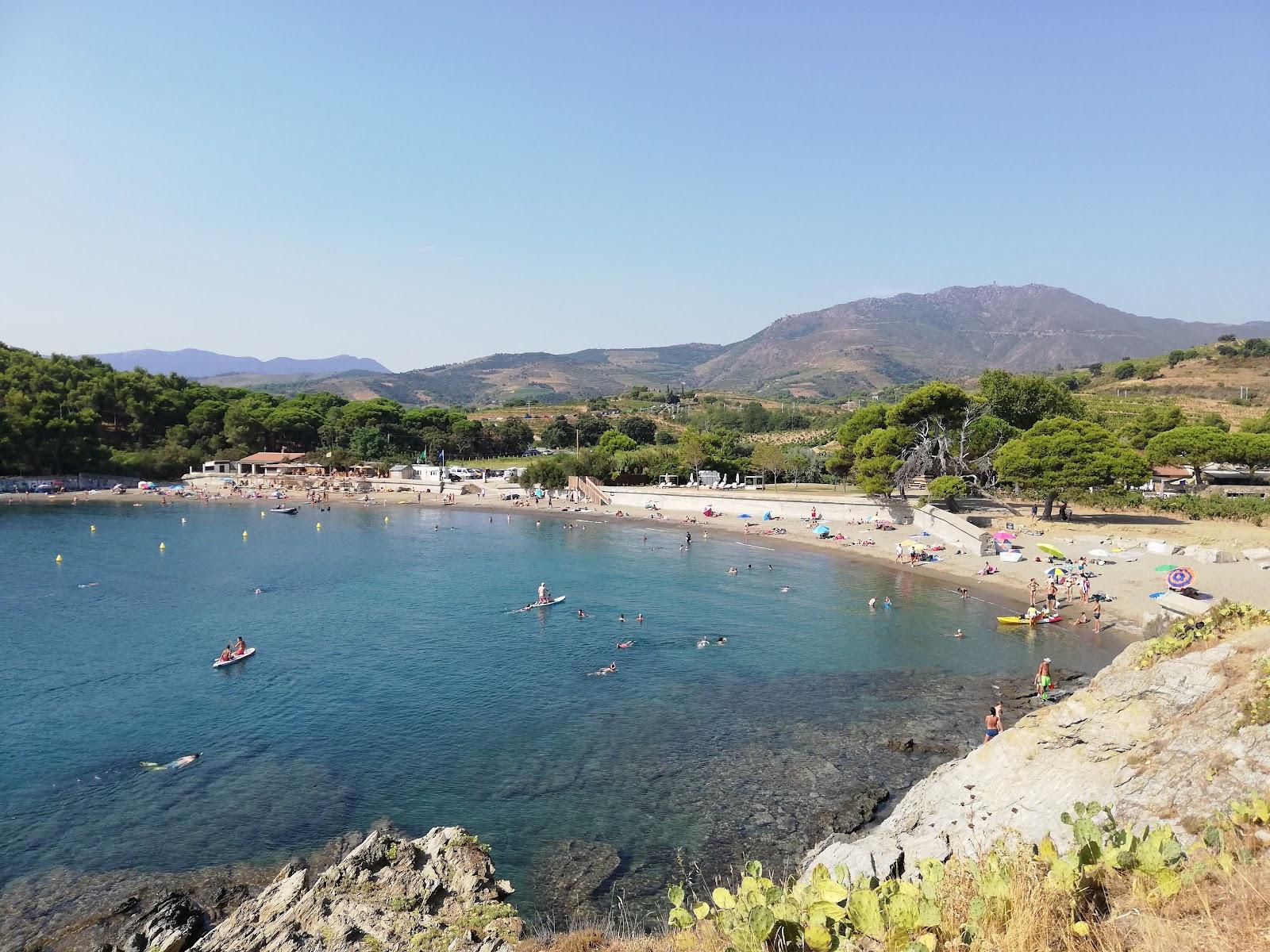 Sandee Plage De Bernardi
