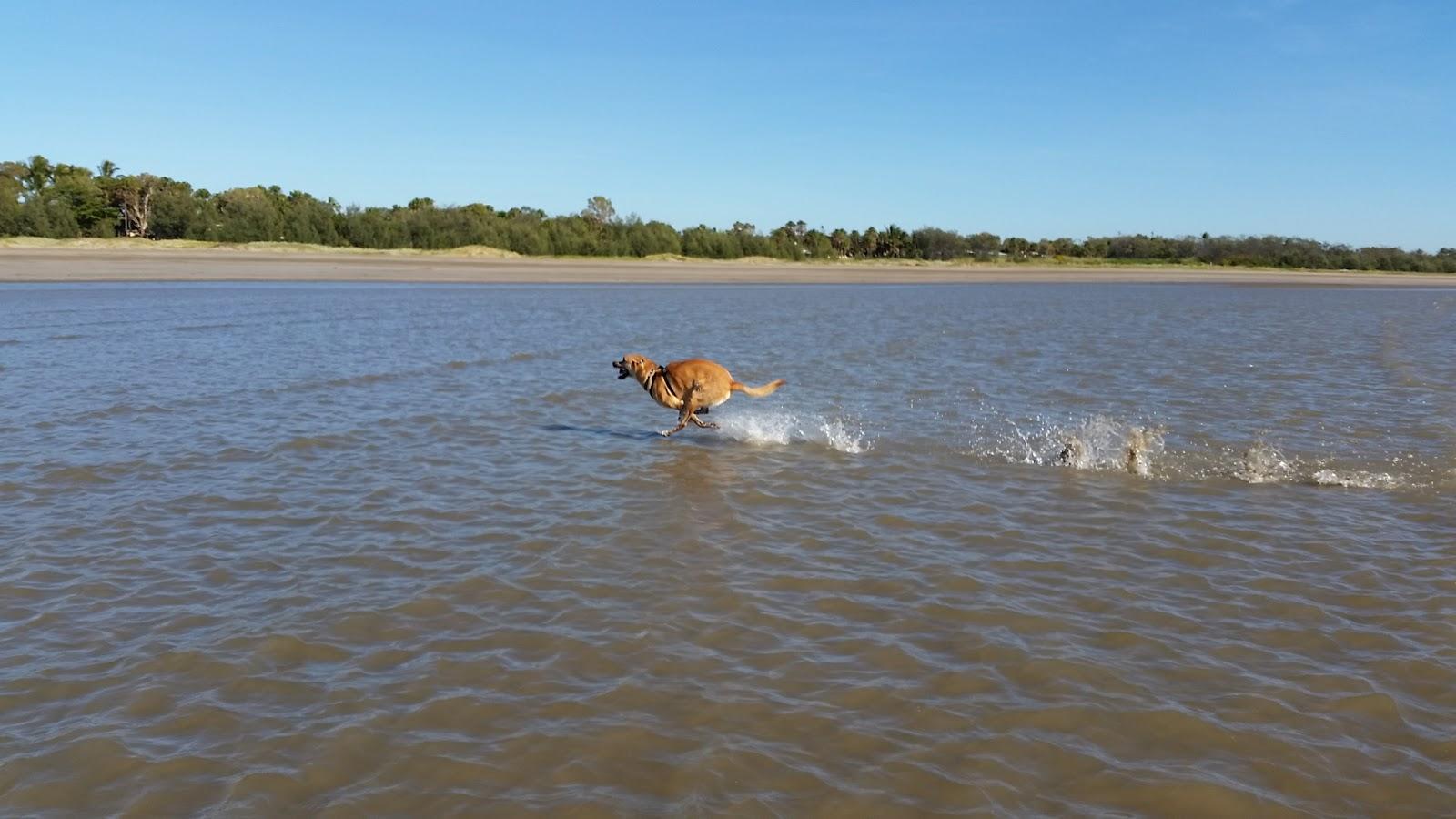 Sandee Kinka Beach