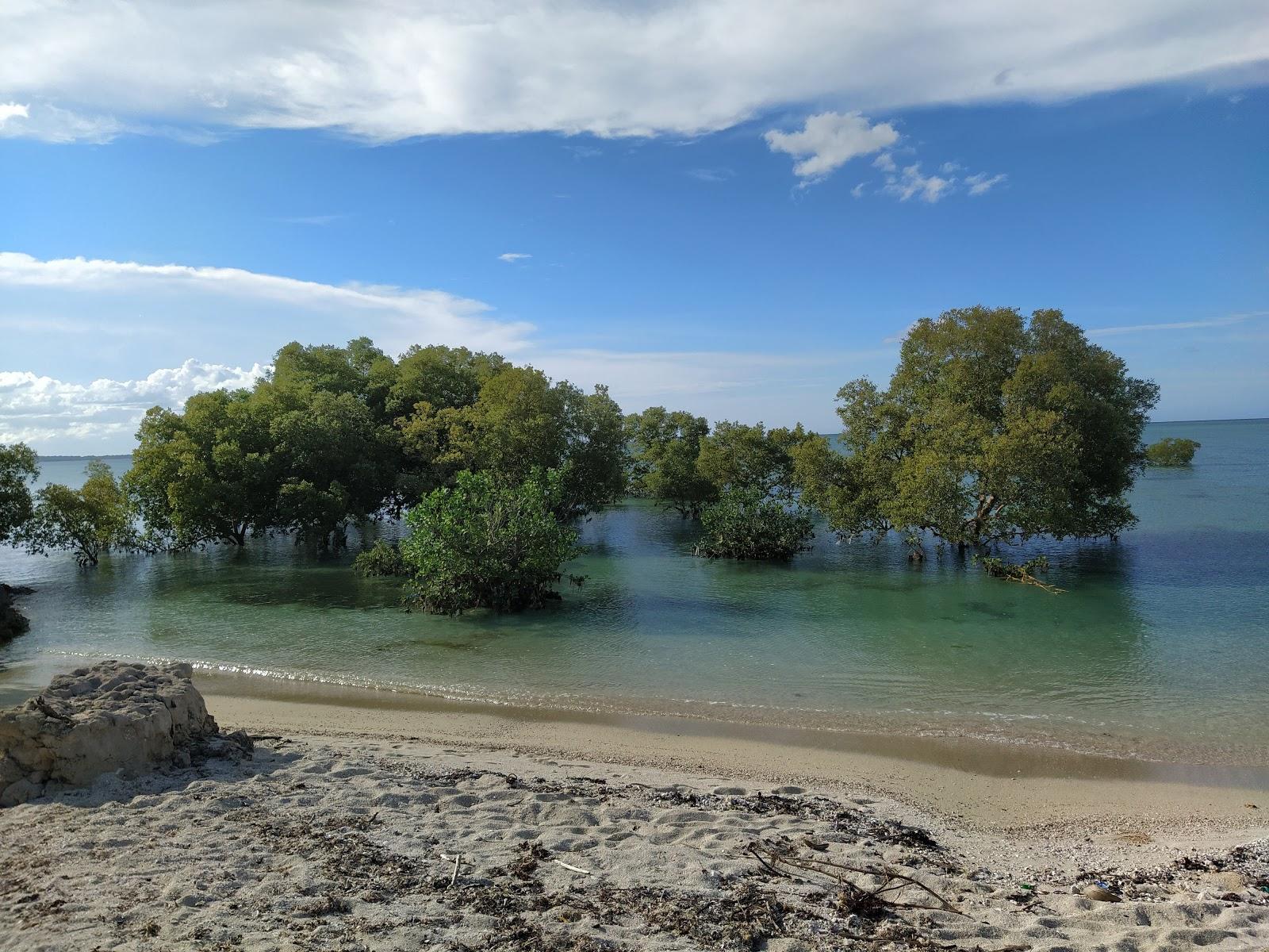 Sandee - HomePage / Mtwara Region
