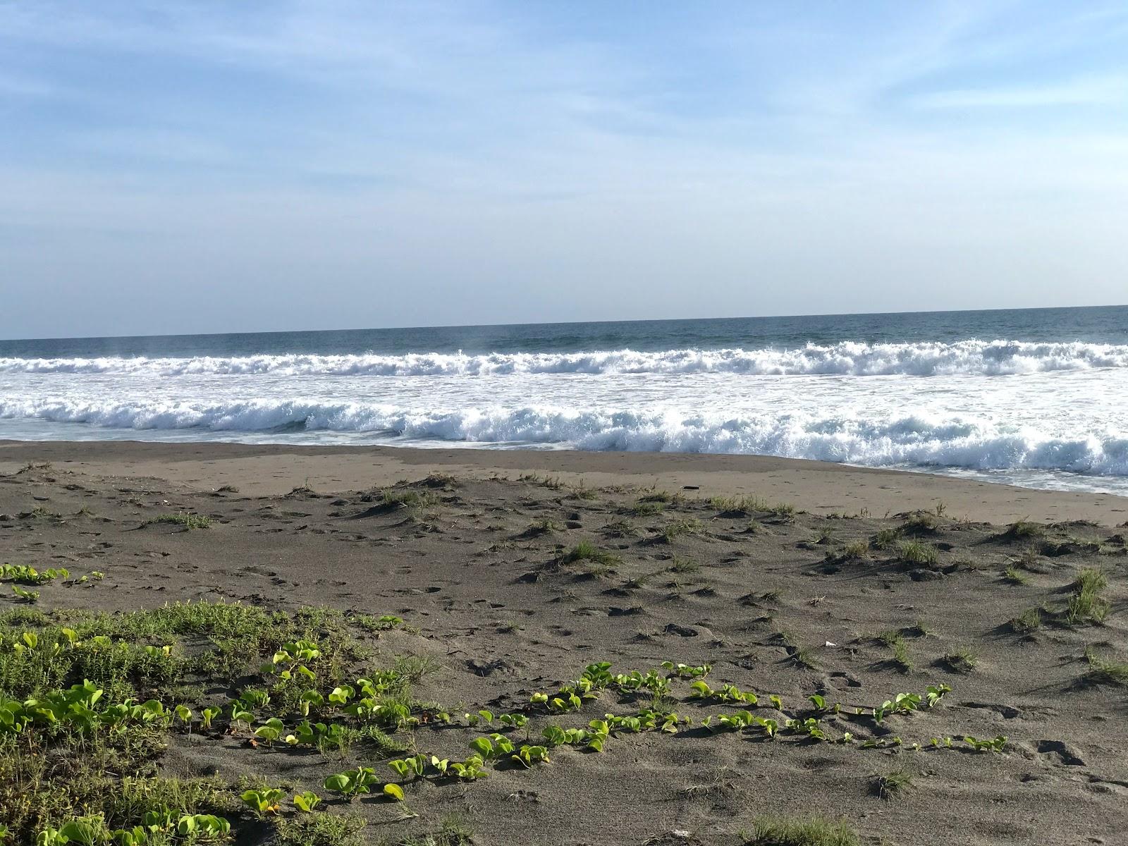 Sandee La Ceiba De Manguito