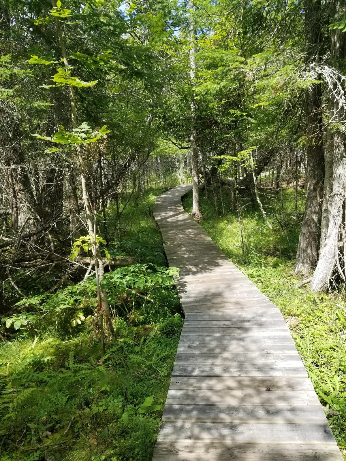 Sandee - HomePage / Harbor Springs