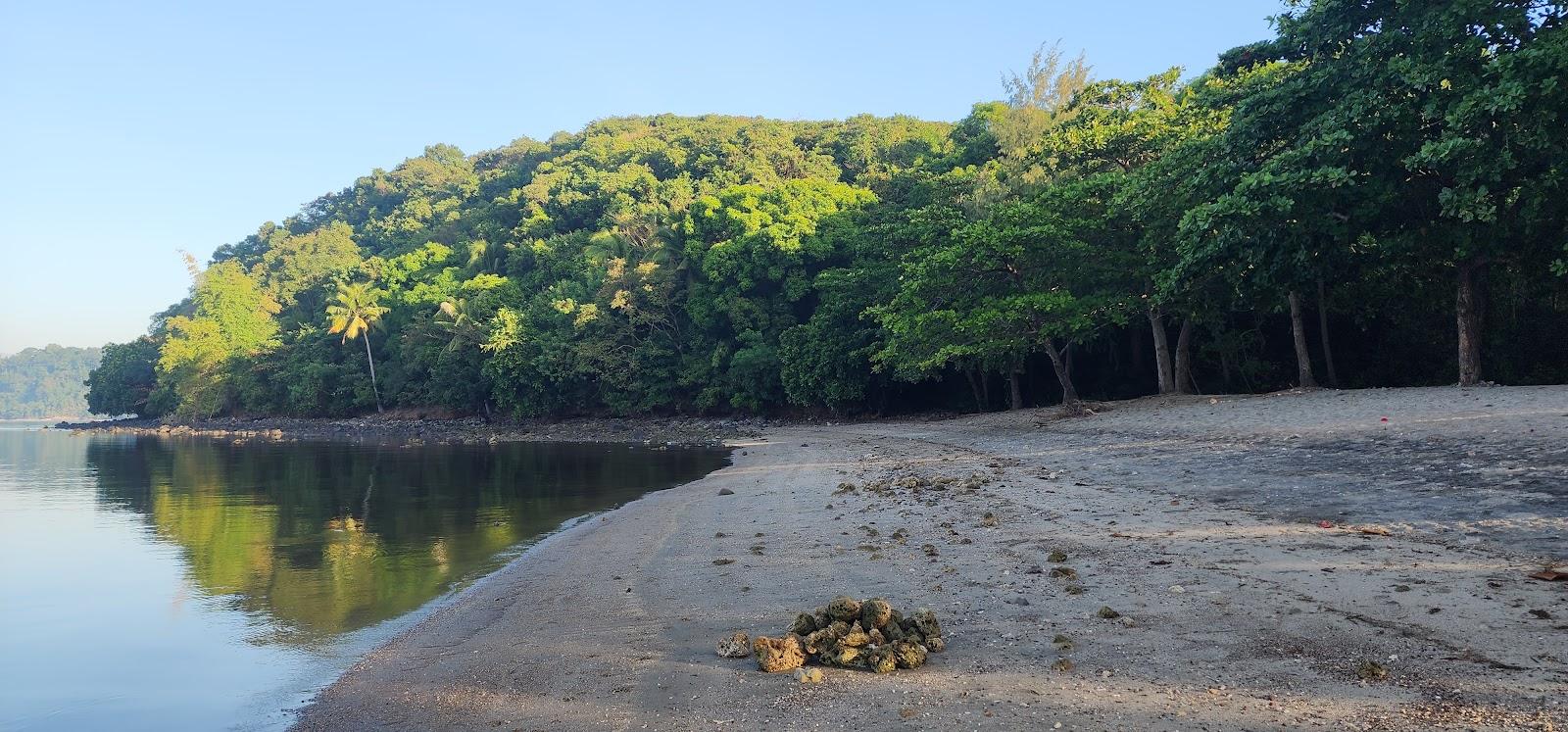 Sandee Blue Turtle Cove Morong Bataan