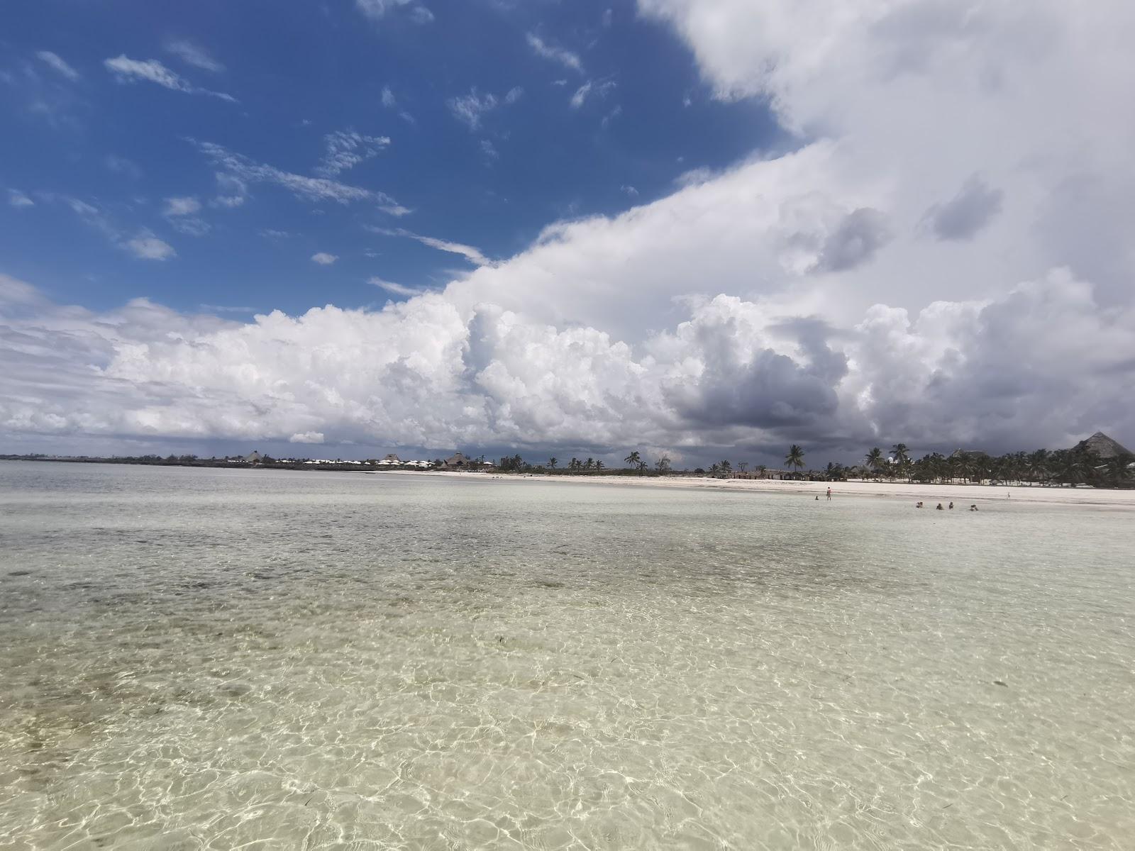 Sandee Jacaranda Bay