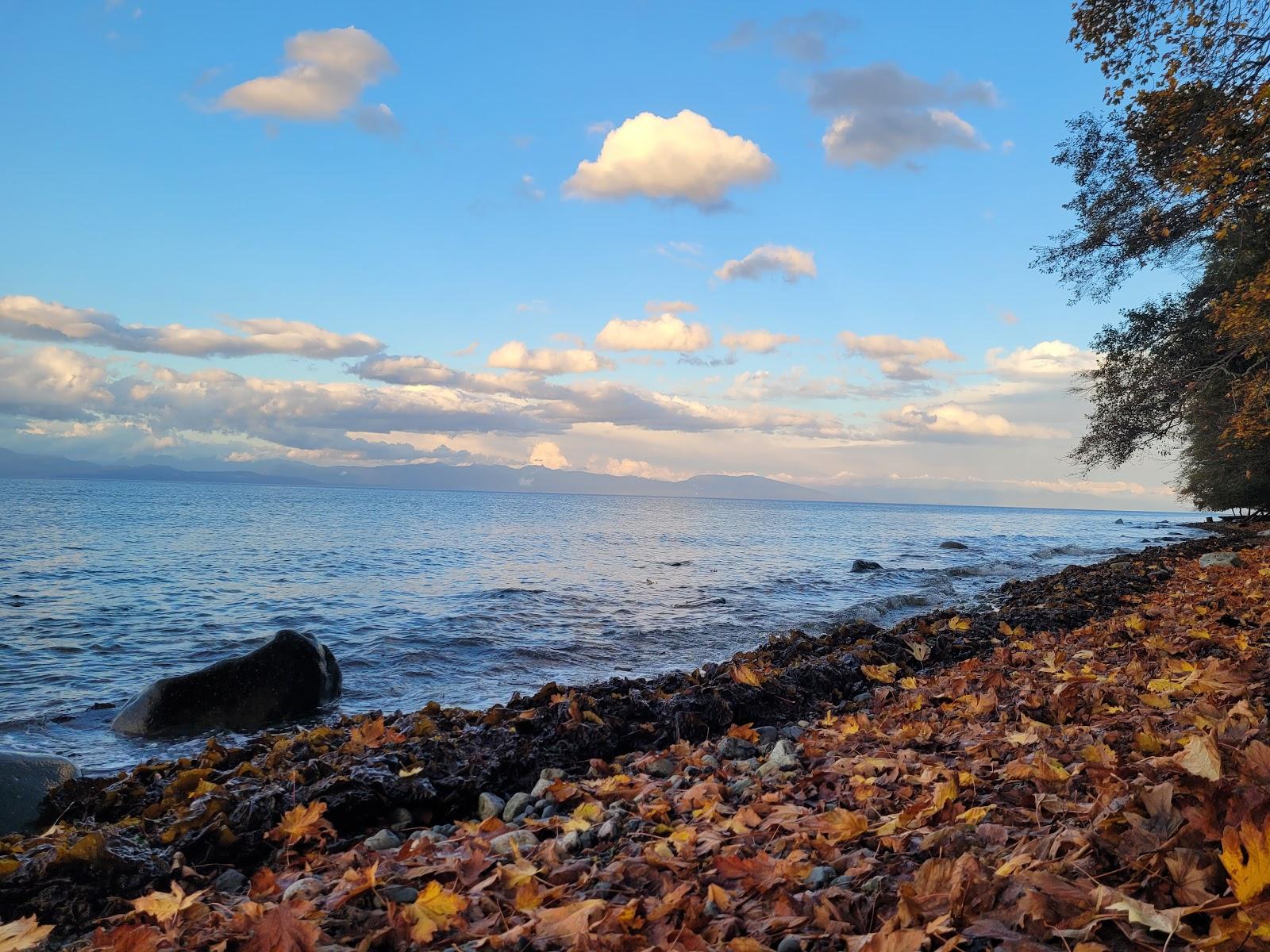 Sandee Blueback Beach Access