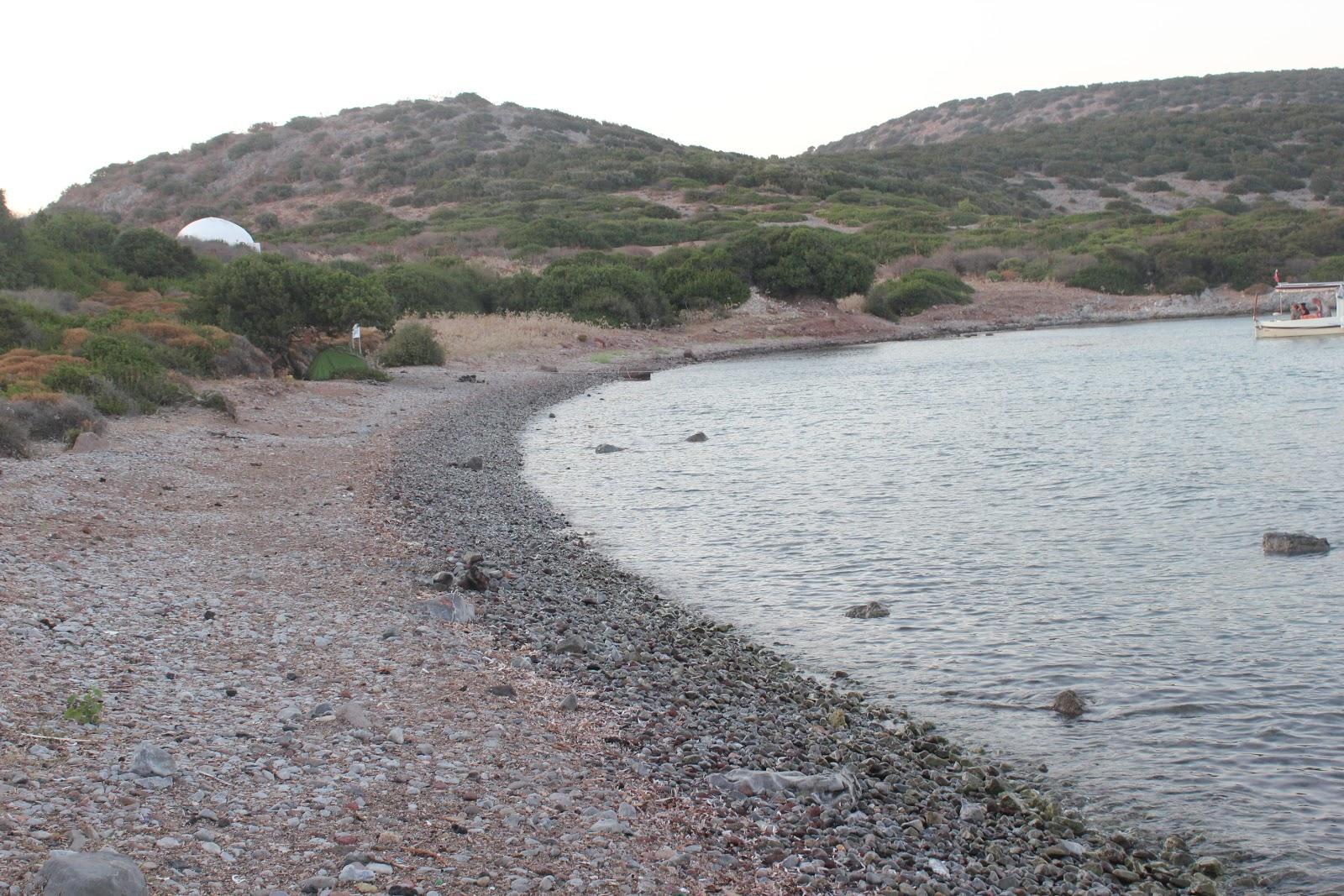 Sandee Akvaryum Bodrum