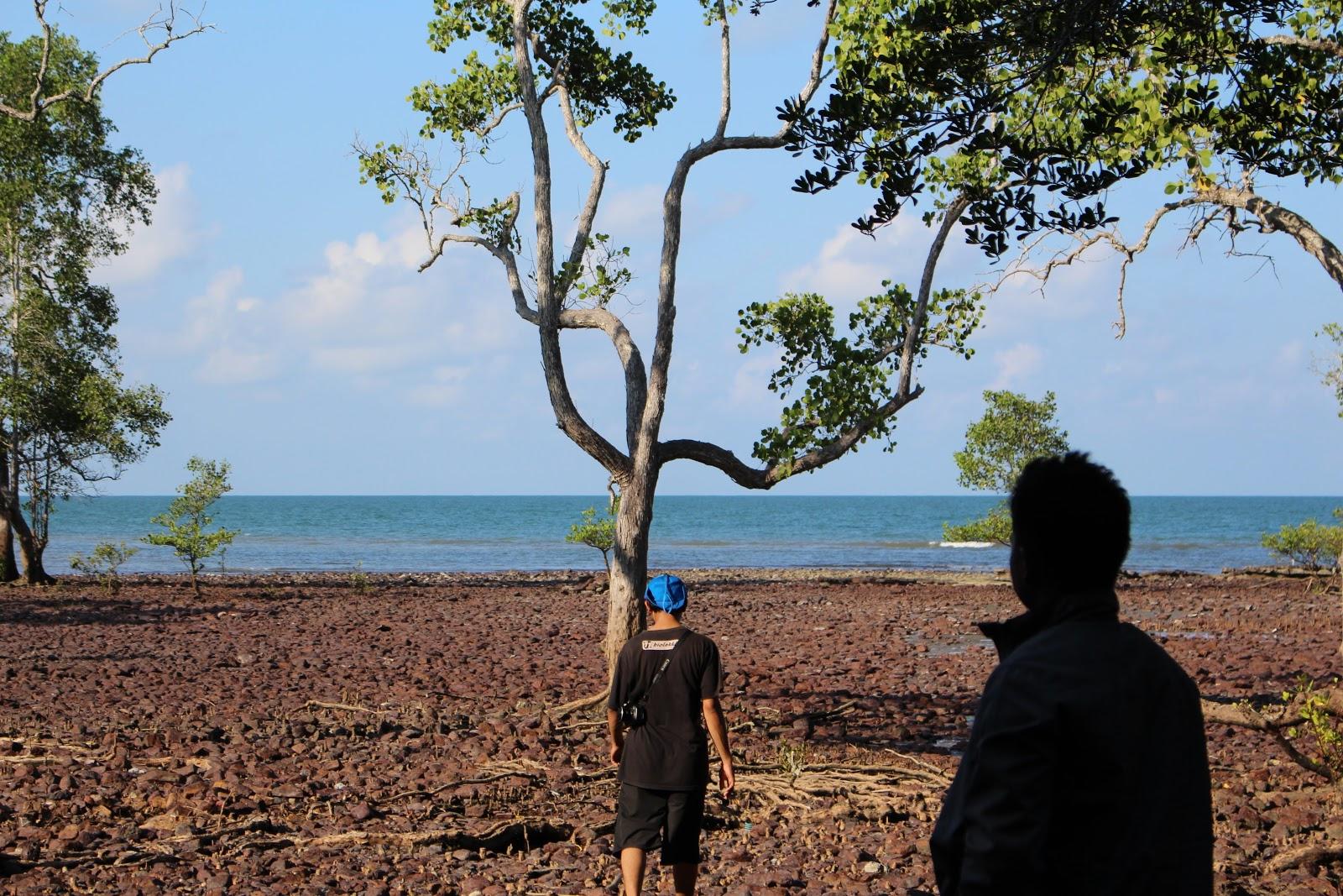 Sandee - HomePage / Tanjung Pangga