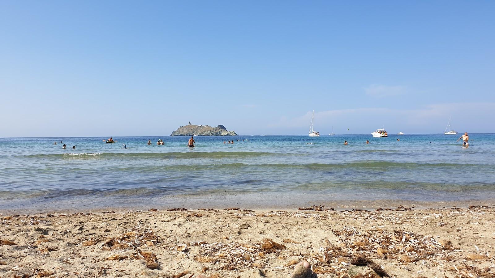Sandee Barcaggio Beach