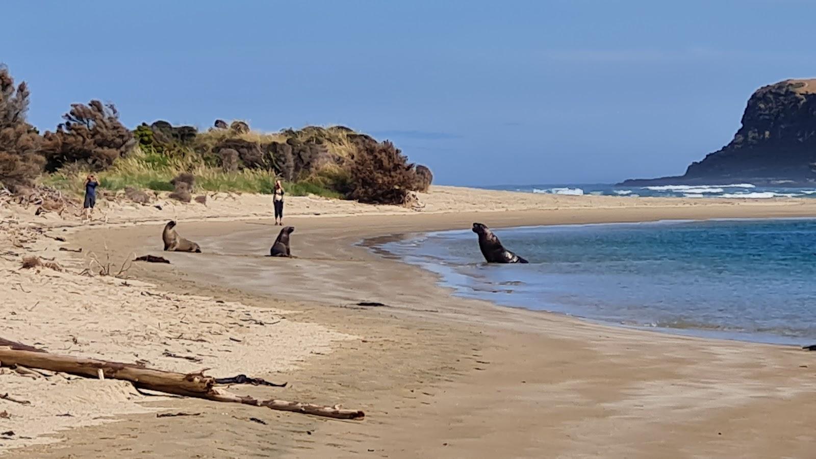 Sandee - HomePage / Hawke's Bay