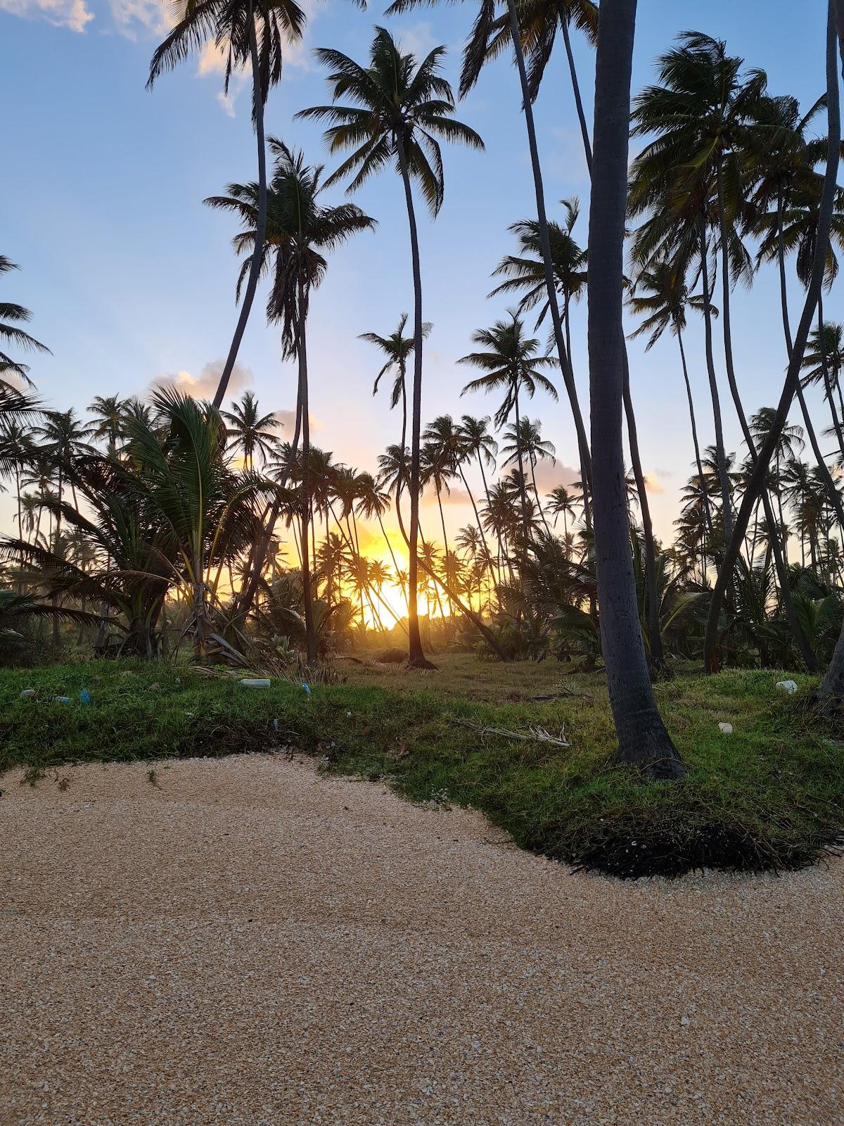 Sandee - HomePage / Mayaro Rio Claro