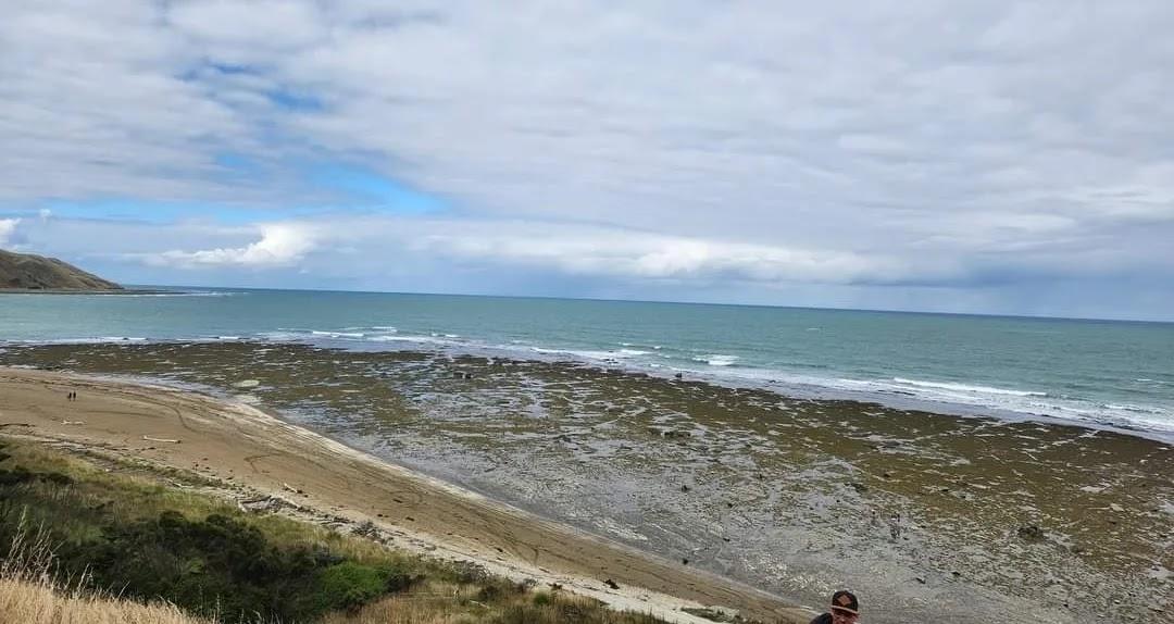 Sandee - HomePage / Aramoana