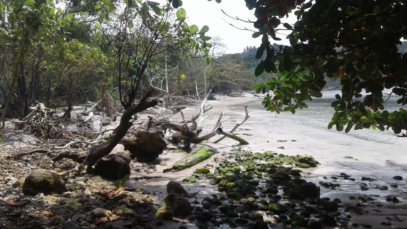 Sandee Pantai Legun Bawang - Tanjung Tua