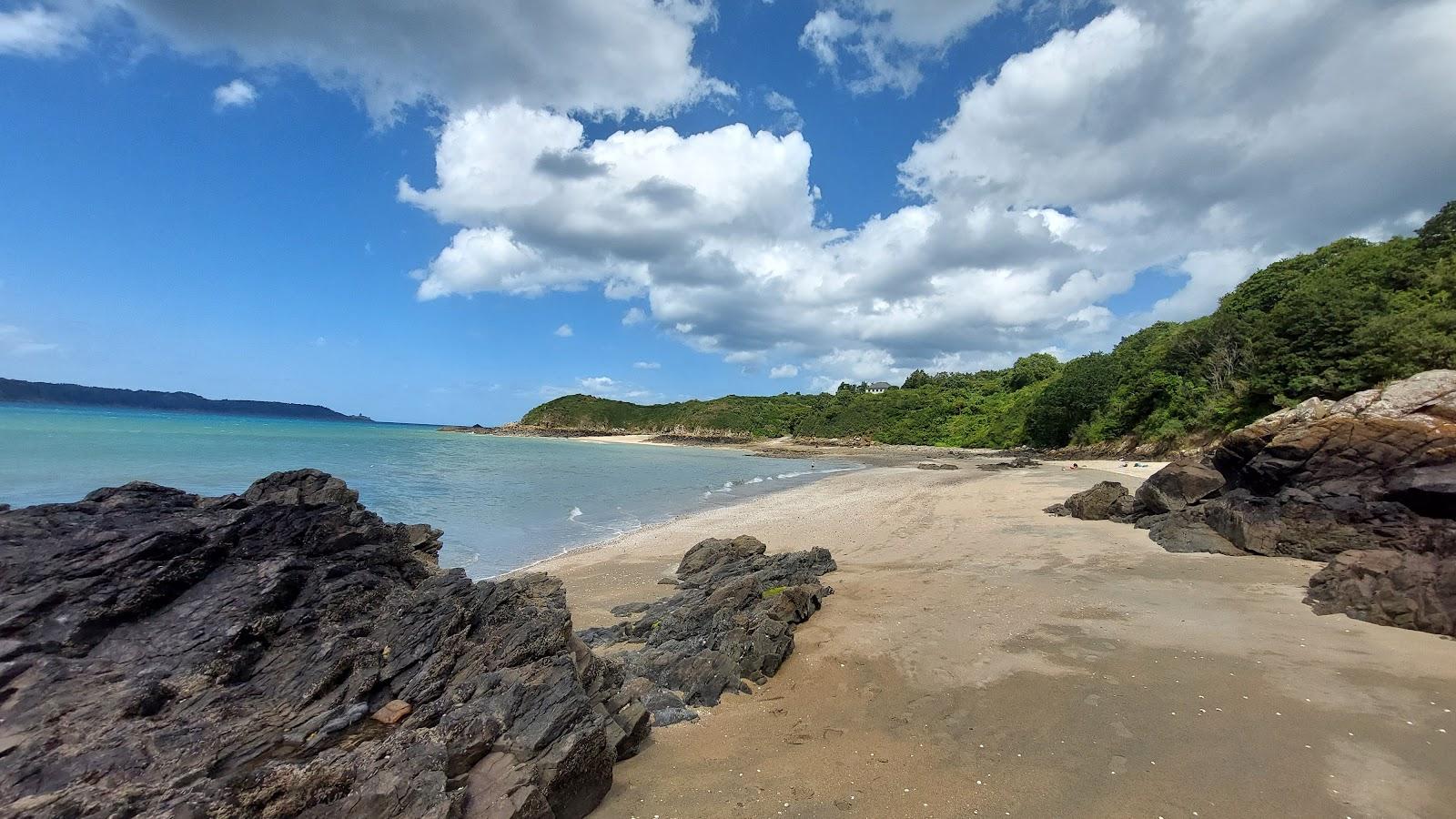 Sandee Plage De La Fosse