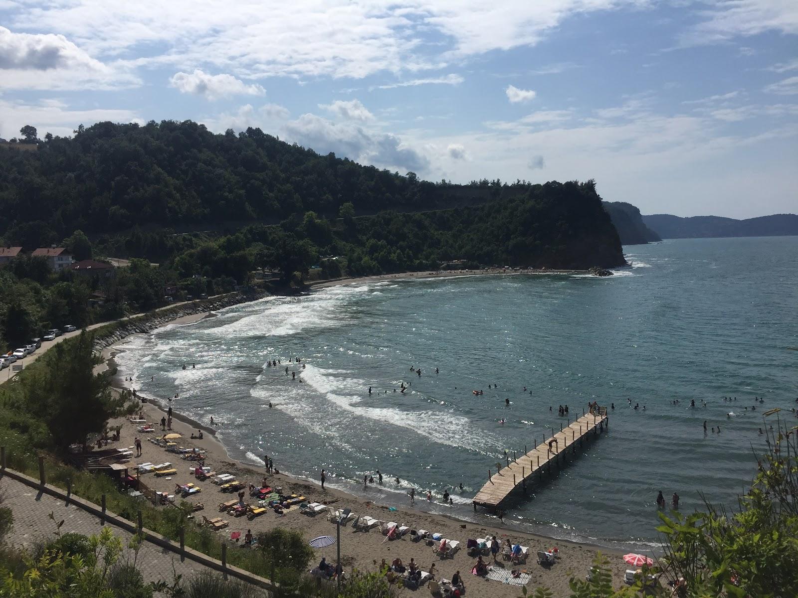 Sandee - HomePage / Sinop