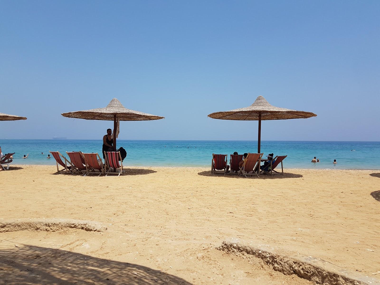 Sandee Dolphin Beach