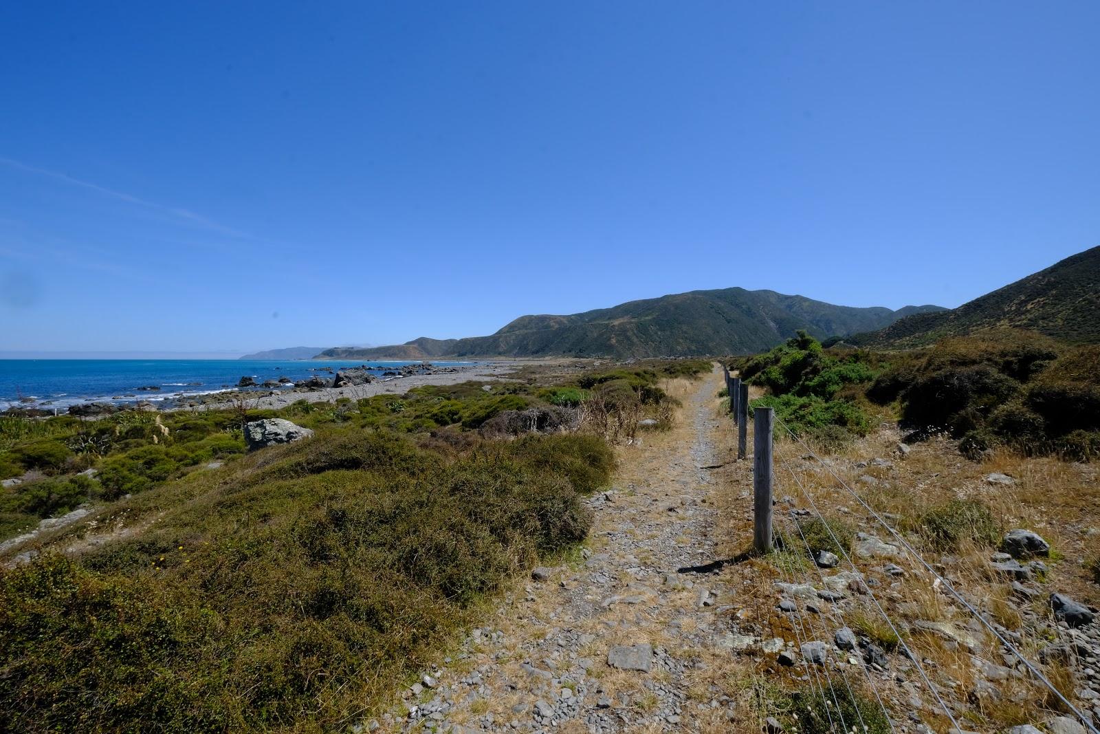 Sandee - HomePage / Wainuiomata Coast