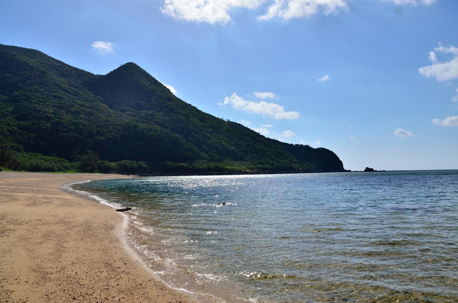 Sandee Ara Beach