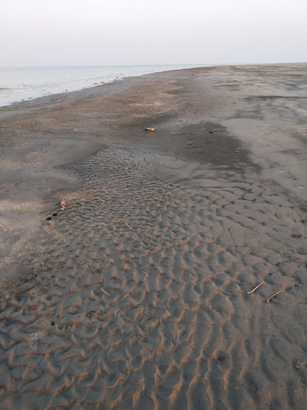 Sandee - HomePage / Sundarban