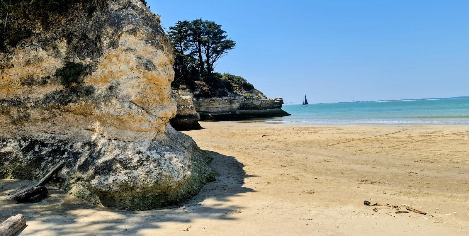 Sandee Plage Suzac