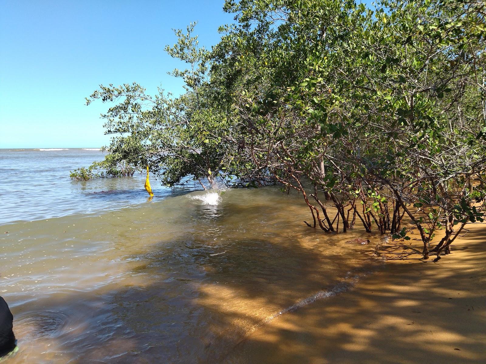Sandee Praia De Corais