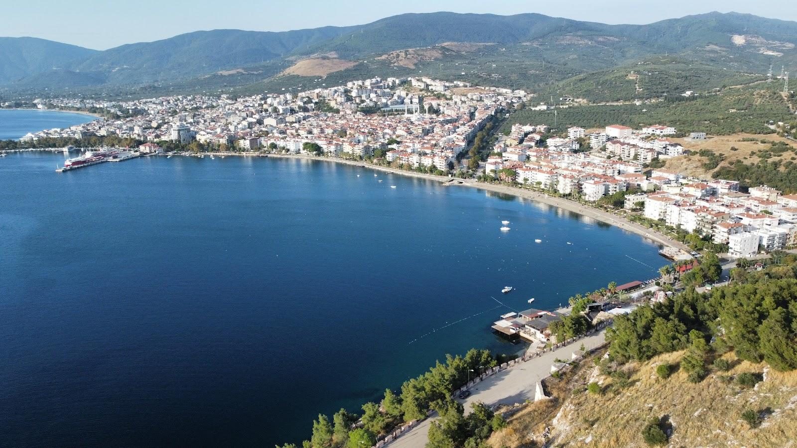 Sandee - HomePage / Zeytinli