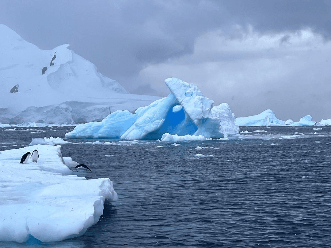 Sandee - HomePage / Livingston Island