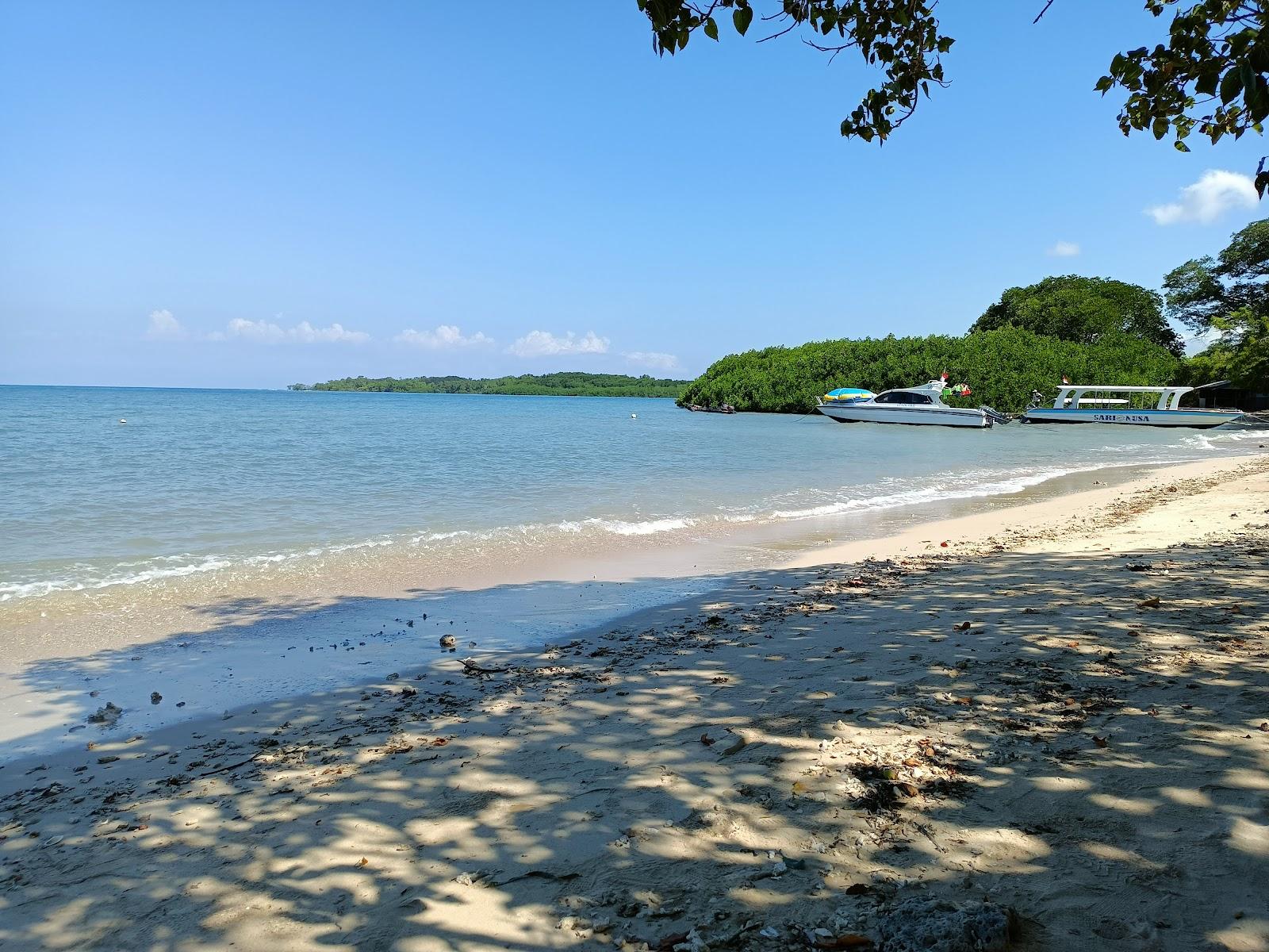 Sandee Bama Beach