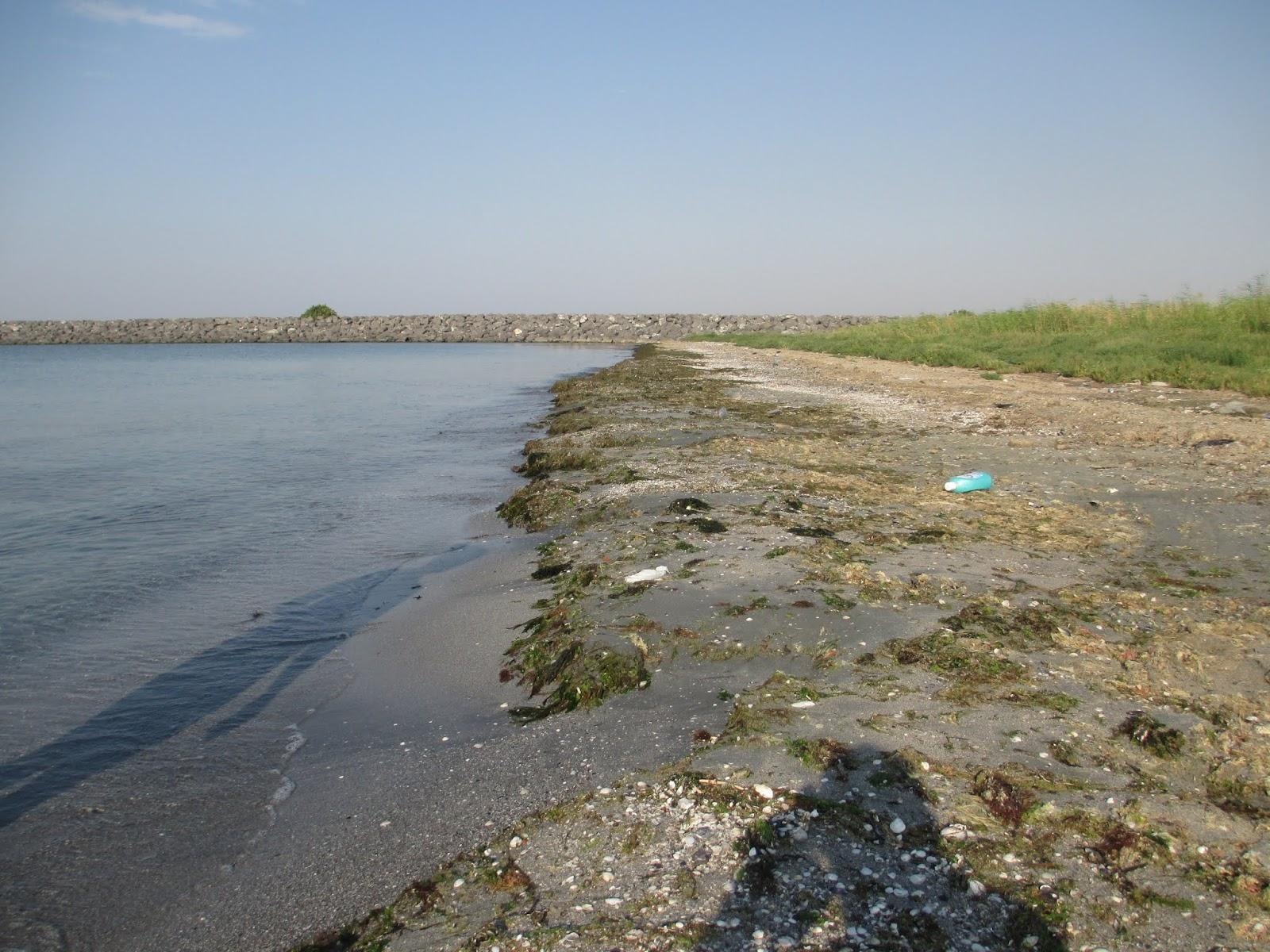 Sandee Huzur Kamp