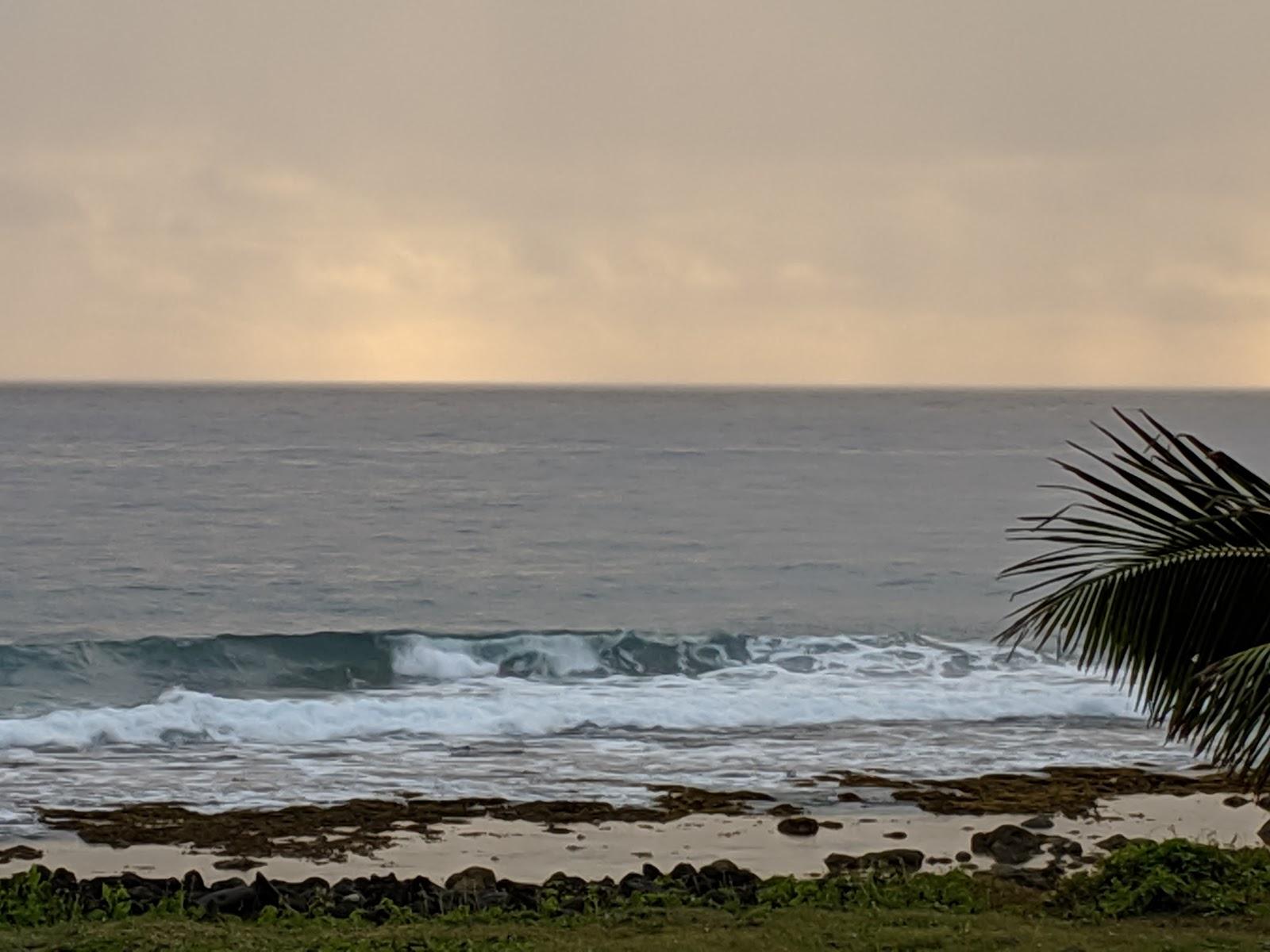 Sandee - HomePage / Cook Islands