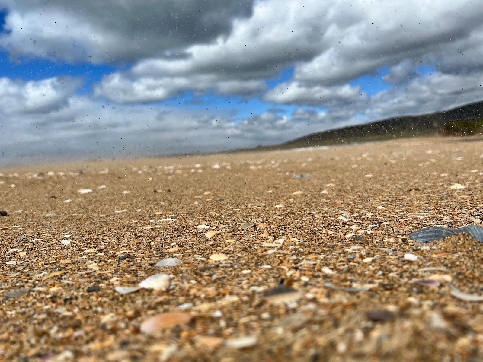 Sandee Freemans Beach