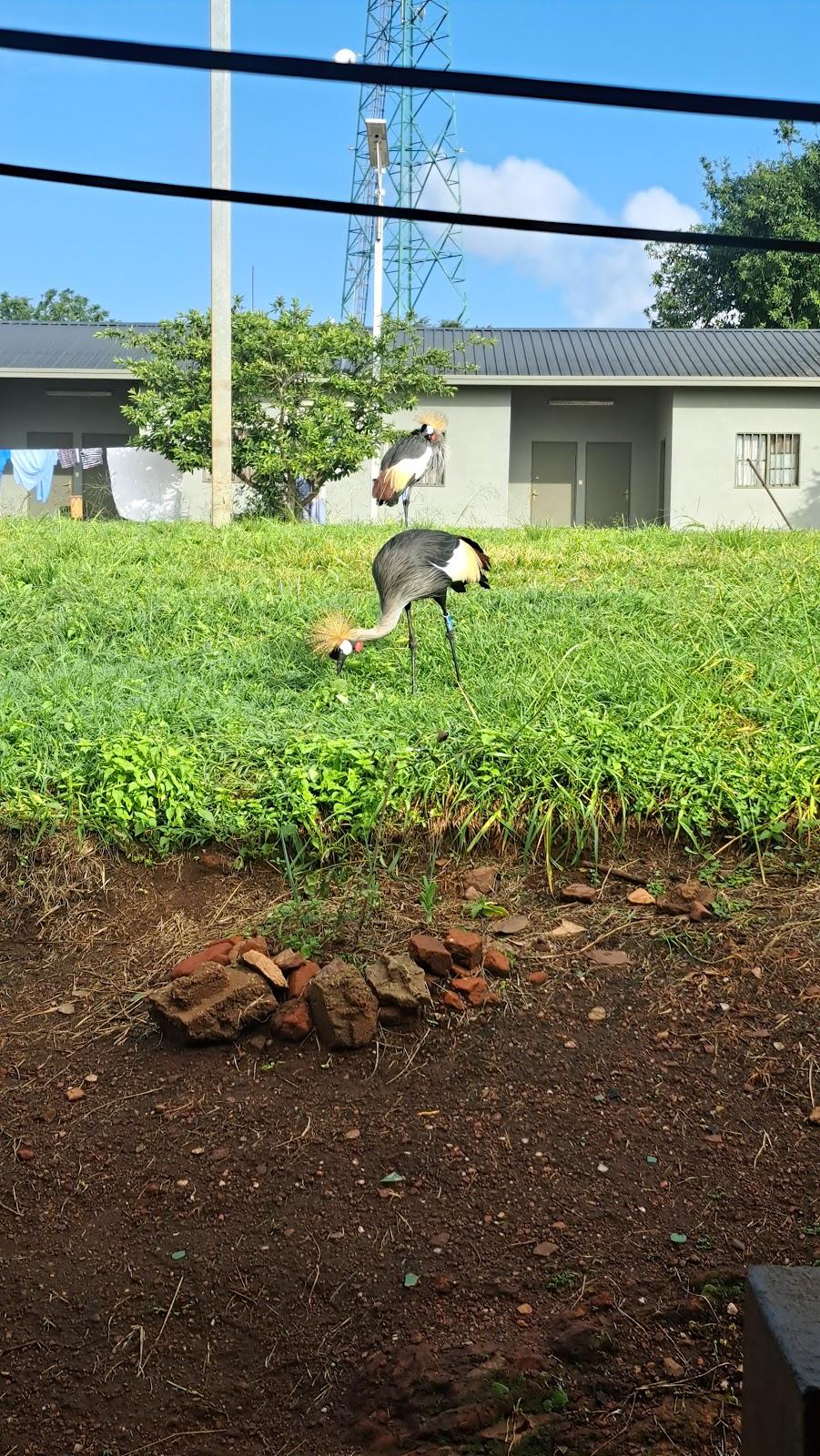 Sandee - HomePage / Akagera Village