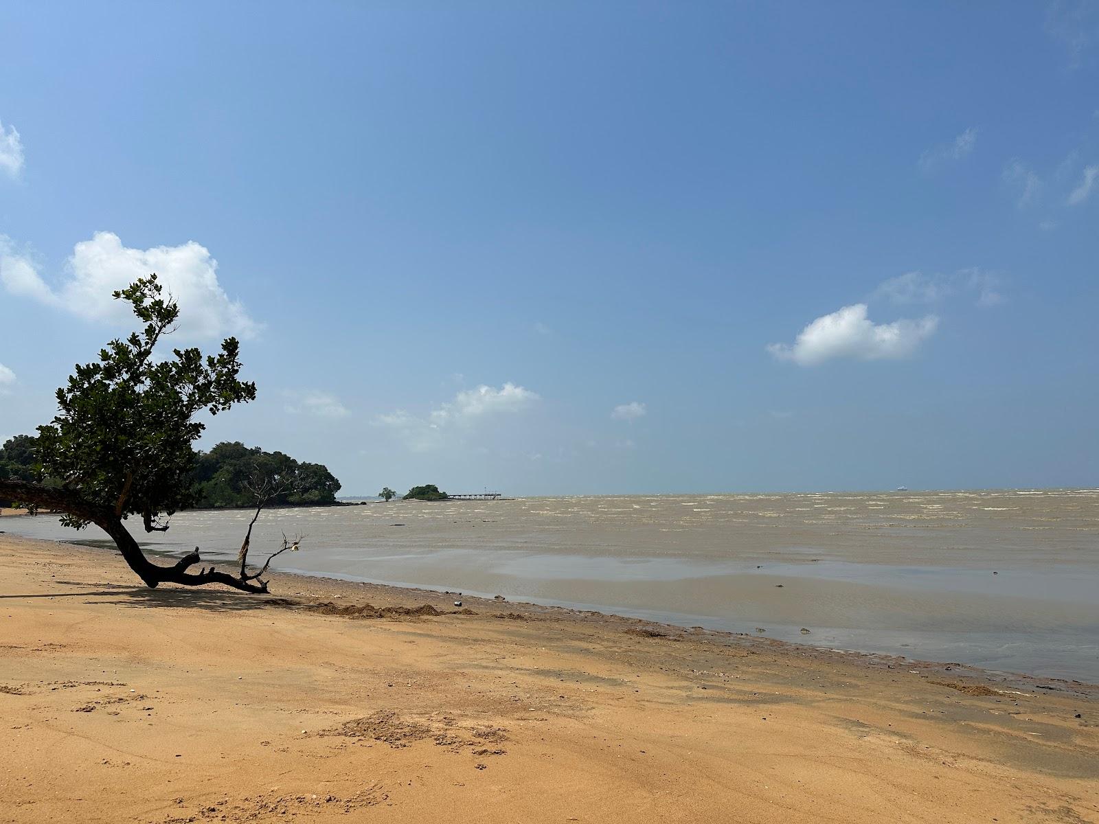 Sandee Pantai Siput Jalan Bumi Hijau