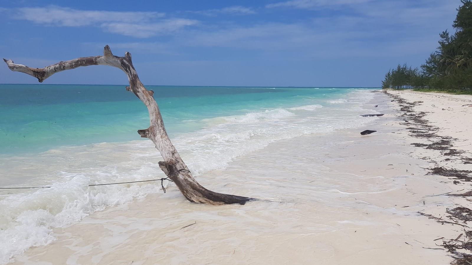 Sandee - HomePage / Balabac