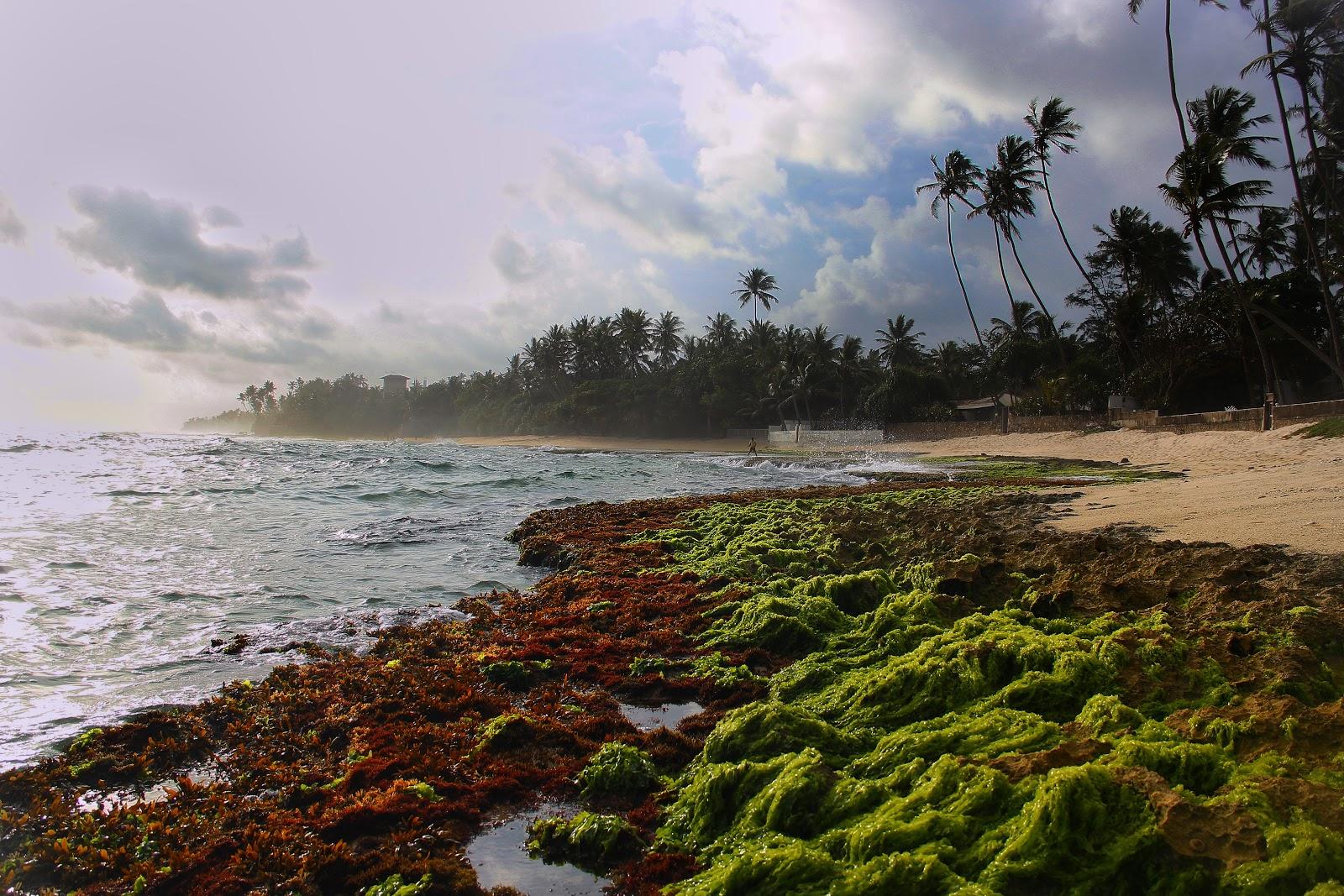 Sandee Heenwella Beach