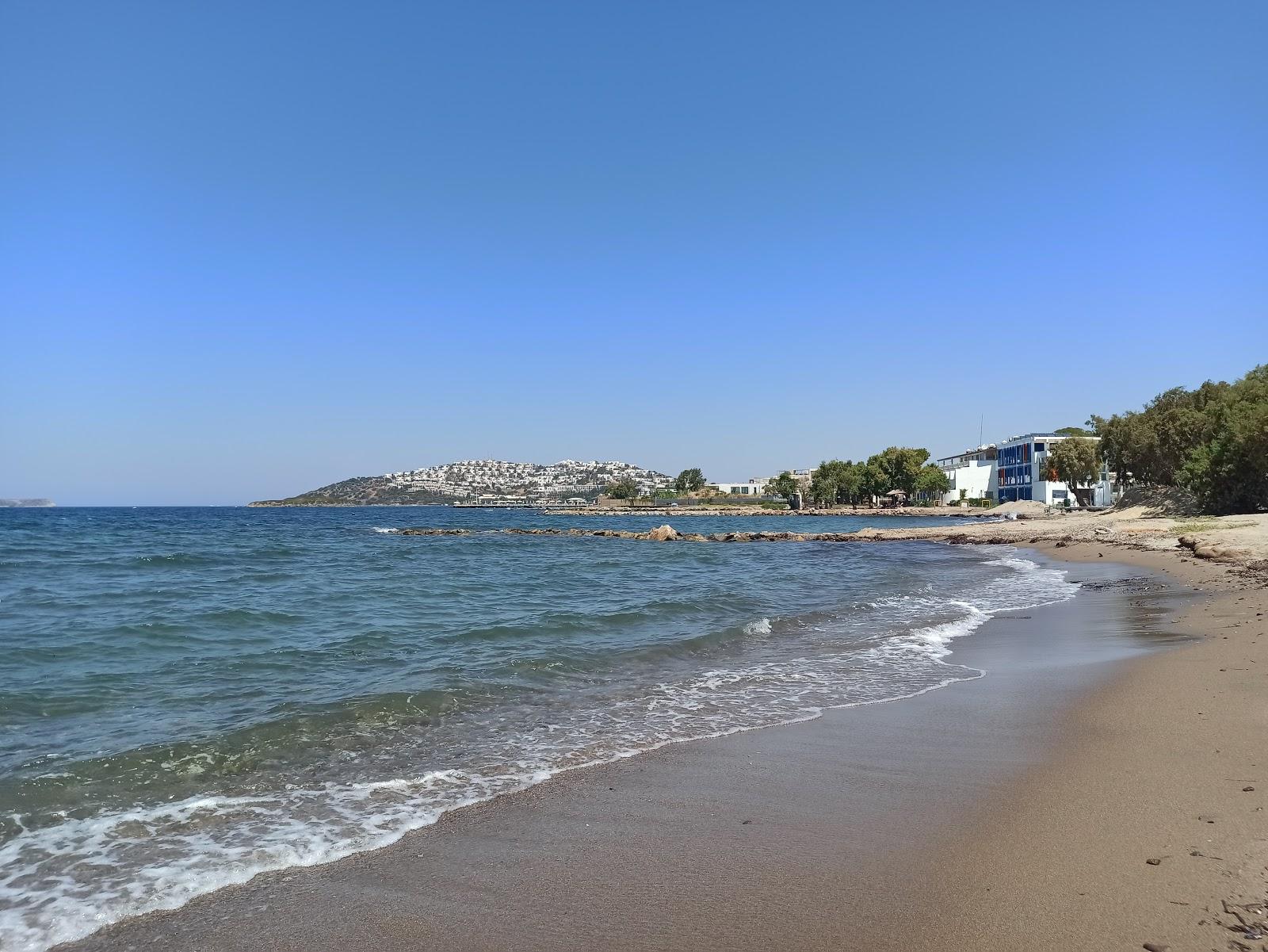 Sandee - HomePage / Turgutreis