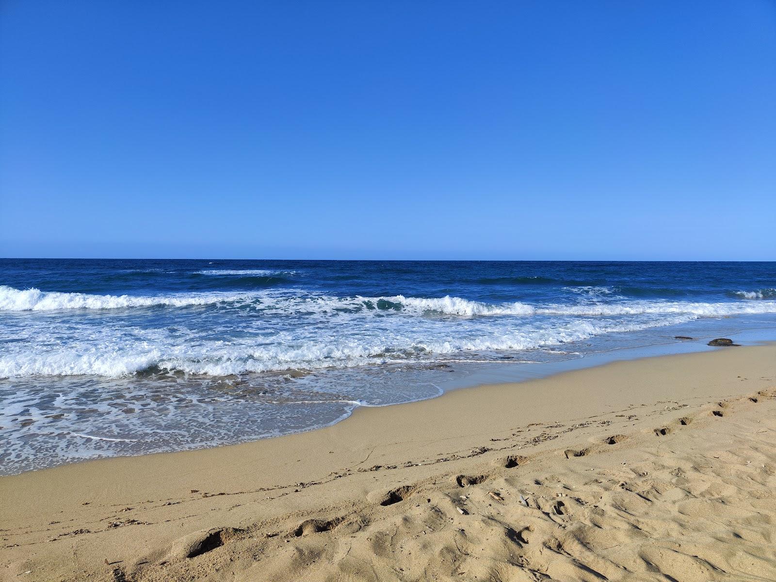 Sandee Spiaggia D'Ayala