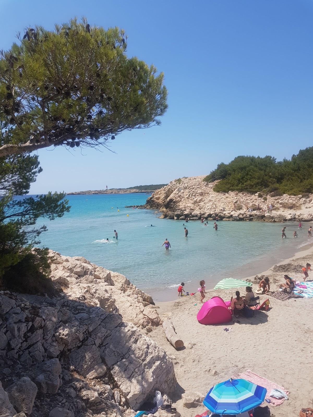 Sandee Plage De La Saulce